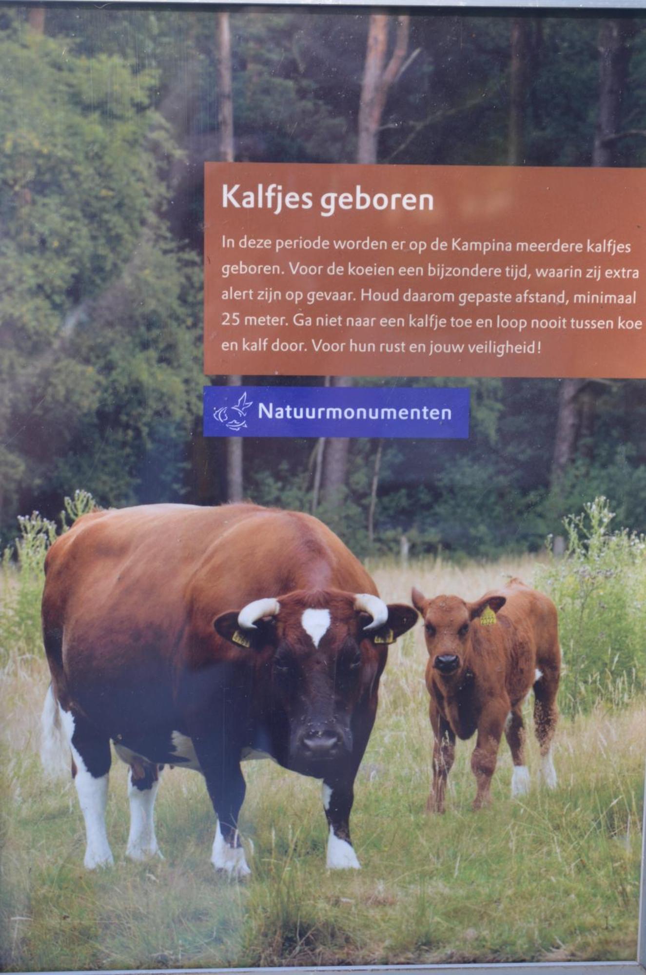 Logies den Heijkant Moergestel Rom bilde