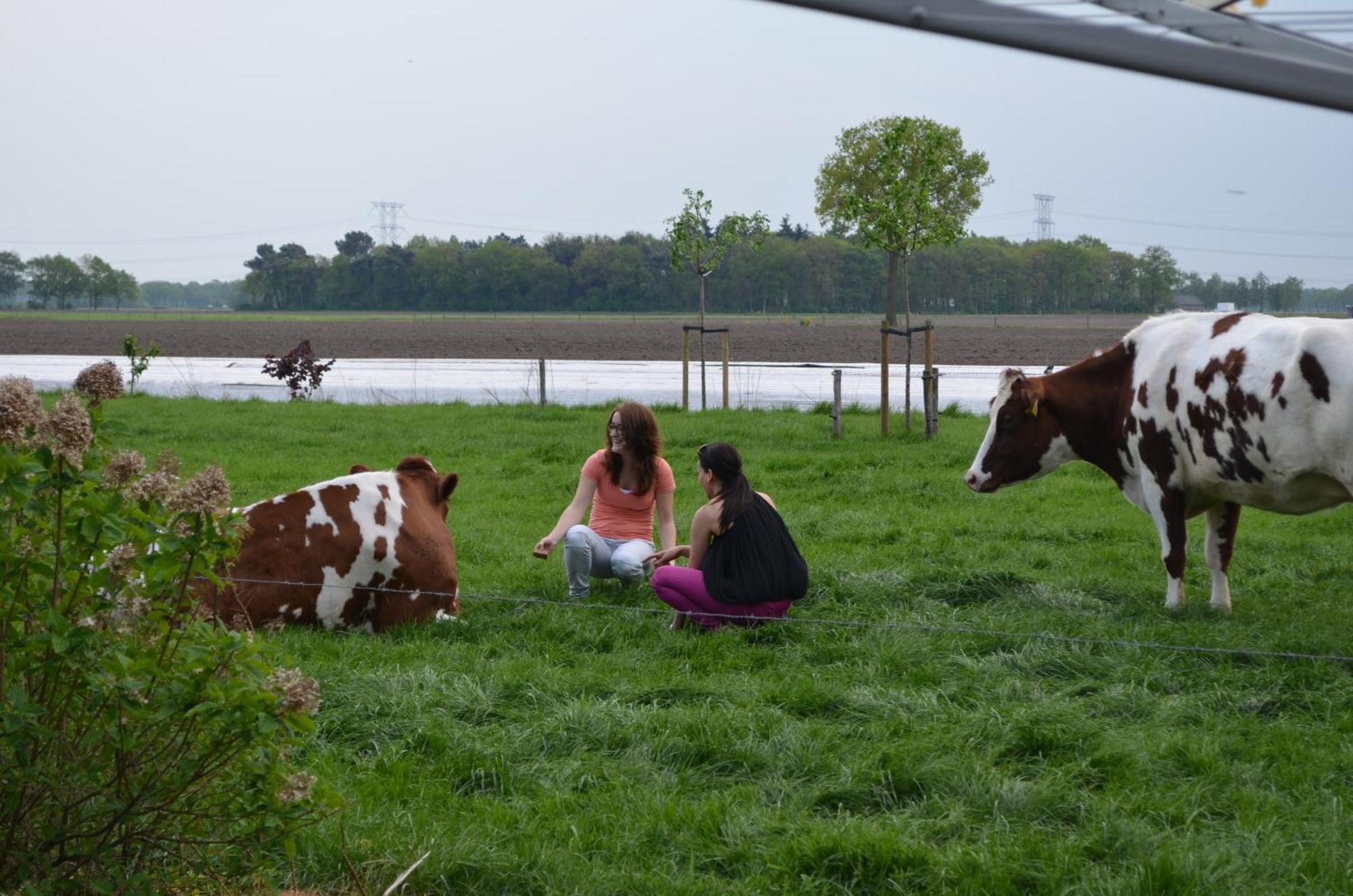 Logies den Heijkant Moergestel Rom bilde